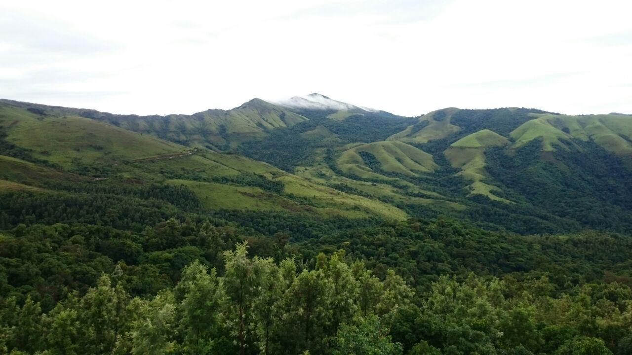 The Greenwood Resort Chikmagalur - Escape To Tranquil Mountain Views Exterior photo